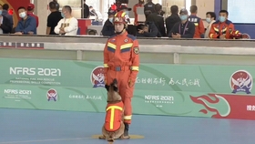 全能战士，安德烈·英格拉姆，篮球场上的魔术师与领袖