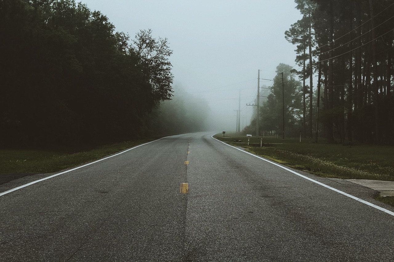 端午节高速公路免费吗？一探究竟！