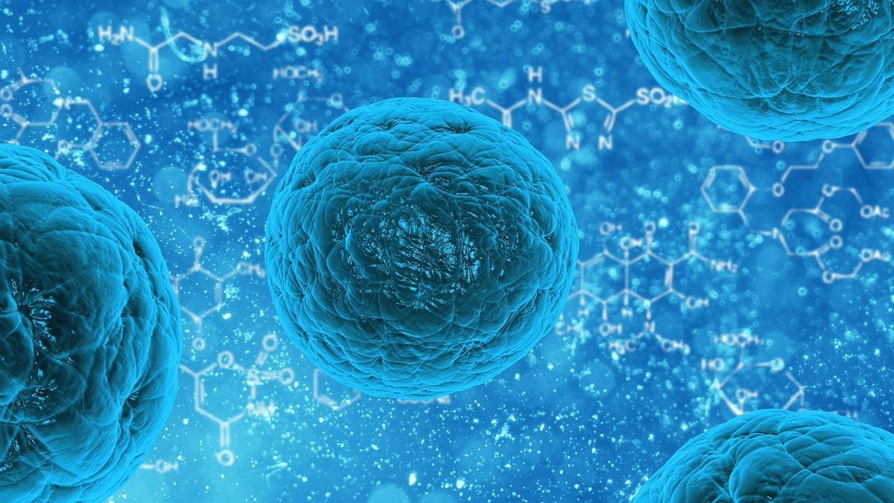石家庄疫情溯源，确诊病例感染来源的科学追踪与分析