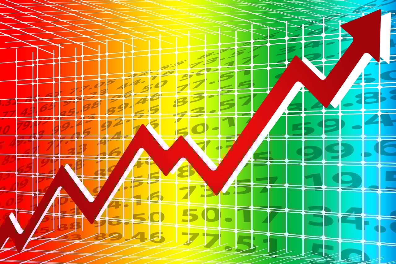 活力四射的校园生活，探索你们学校的体育日