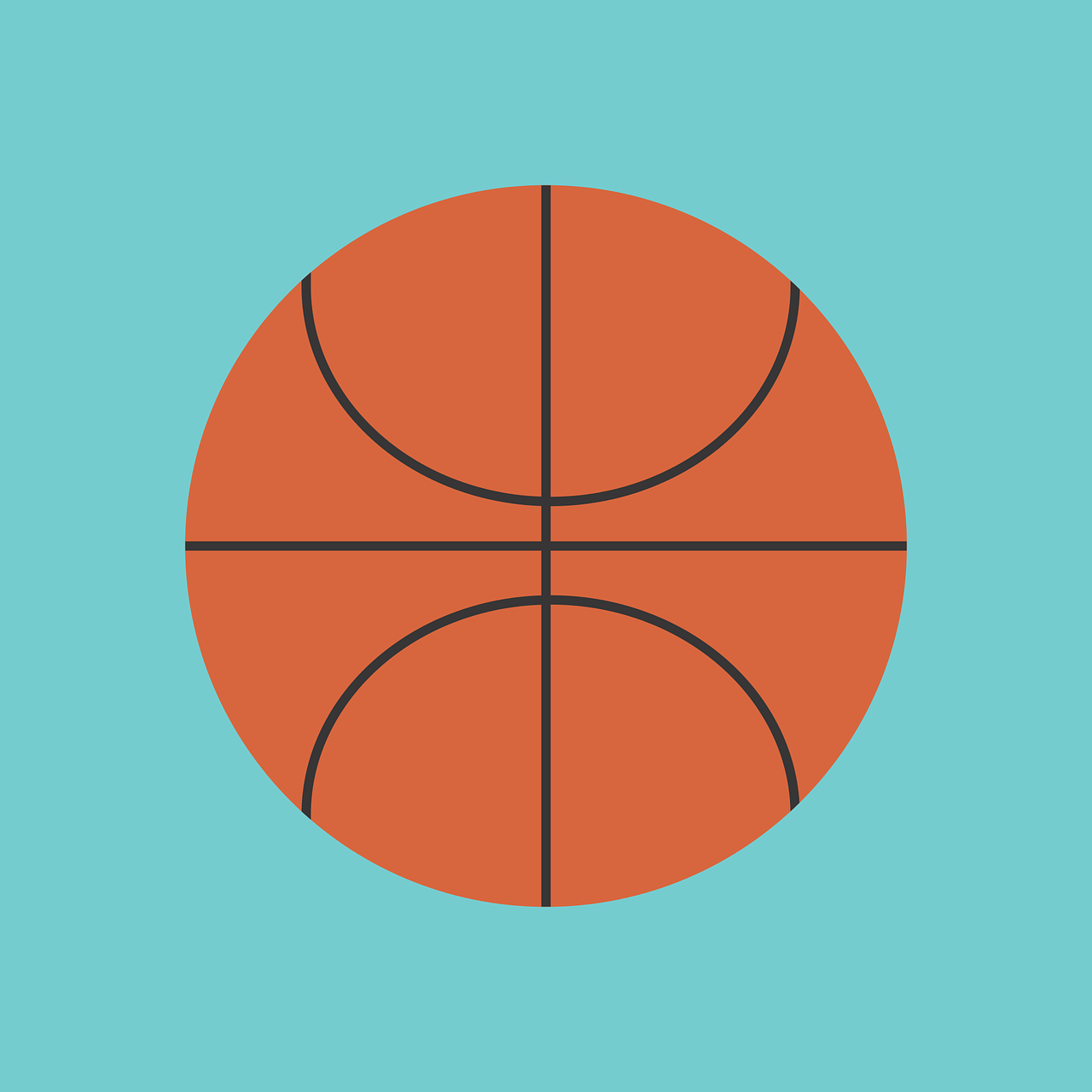 新浪网NBA，篮球迷的数字家园