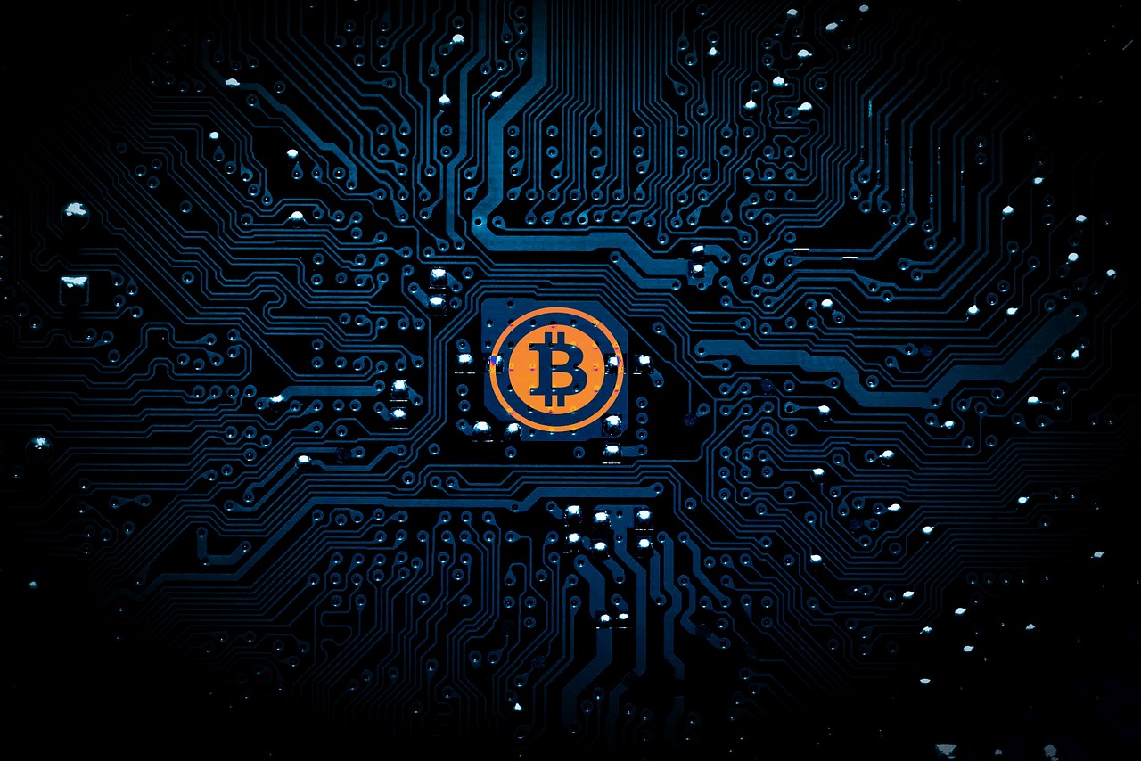 探索体育场的英文表达，从词汇到实际应用