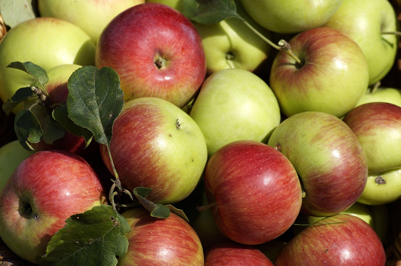 轻松上手,斗球体育在苹果设备上的下载与安装指南 轻松上手,斗球体育在苹果设备上的下载与安装指南